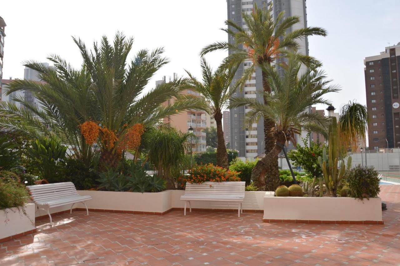 Gemelos2 Loysan Apt. With Pool Benidorm Exteriér fotografie